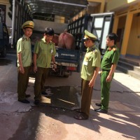 Băt giữ xe ôtô tải chở hơn 3 tấn thịt lợn nhập lậu từ Trung Quốc