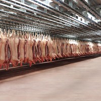 Woosung Việt Nam 15 năm gắn bó với người chăn nuôi