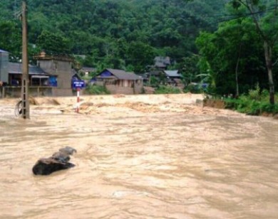 Thanh Hóa: Lũ quét kinh hoàng trong đêm cuốn trôi 4 người trong một gia đình