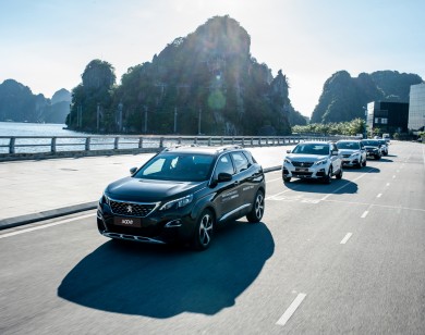 Peugeot vươn lên mạnh mẽ trong dòng SUV hạng nhẹ tại Việt Nam 