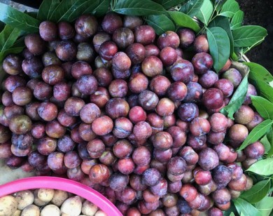 Hàng ngàn tấn mận Trung Quốc tràn ngập chợ Việt Nam
