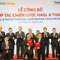 THACO hợp tác chiến lược cùng HAGL đầu tư vào nông nghiệp và bất động sản