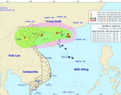 Công điện hỏa tốc, khẩn cấp ứng phó với bão số 4