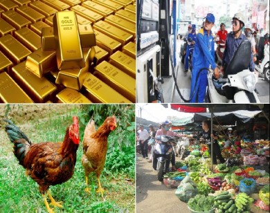Tiêu dùng trong tuần: Giá vàng và thực phẩm tăng mạnh, trong khi giá dầu giảm nhẹ