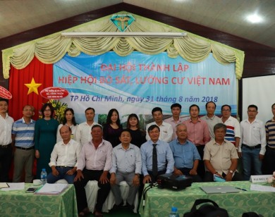 Thành lập Hiệp hội Bò sát, Lưỡng cư Việt Nam 