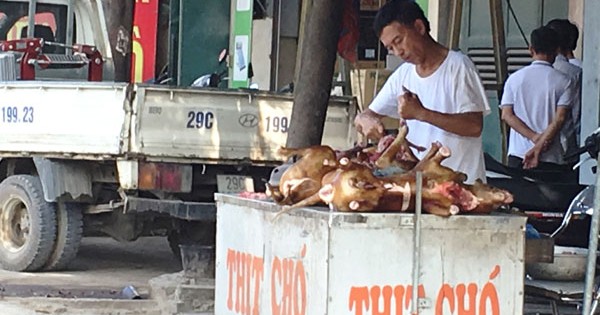 Vận động người dân từ bỏ thói quen ăn thịt chó - Bài 3: Phù hợp với thông lệ quốc tế