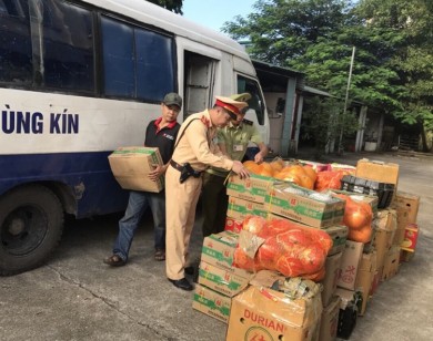 Bắt giữ xe tải vận chuyển hơn 2 tấn hoa quả Trung Quốc vào Việt Nam