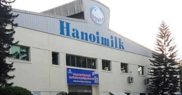 Sau soát xét, Hanoimilk, PVX lỗ càng thêm lỗ