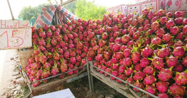 Thanh Long tăng giá trở lại