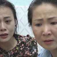 'Quỳnh búp bê' ngày càng nhạt