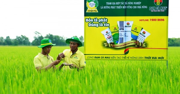 Đạm Cà Mau hoàn thành vượt mức các chỉ tiêu 9 tháng đầu năm 