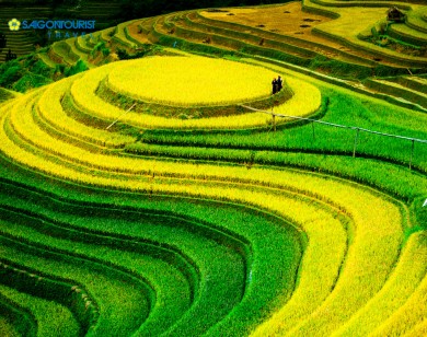 Saigontourist ưu đãi đến hơn 4 triệu đồng tại Ngày hội Khuyến mại du lịch 2018