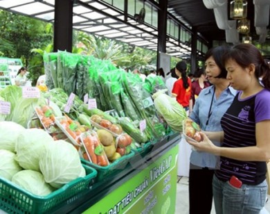 Ngày hội “Sản phẩm xanh - Thực phẩm sạch” diễn ra tại Hà Nội