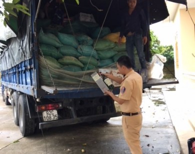 Bắt giữ xe ô tô chở gần 1000 chai rượu ngoại không có giấy tờ hợp lệ