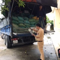 Bắt giữ xe ô tô chở gần 1000 chai rượu ngoại không có giấy tờ hợp lệ