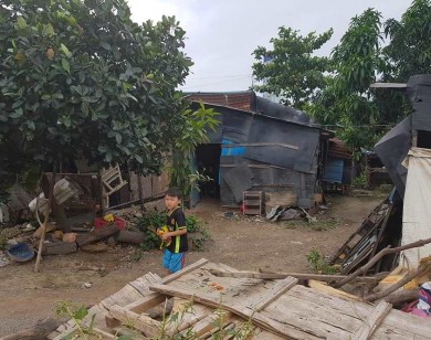 UBND quận Bình Tân sẽ cưỡng chế một cụm nhà rách nát tại phường Bình Hưng Hòa!
