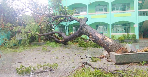 Hôm nay (26/11), học sinh tại TP Hồ Chí Minh, Bà Rịa - Vũng Tàu, Khánh Hòa được nghỉ học để khắc phục bão