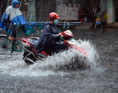 Dự báo thời tiết 26/11: Nam Bộ tiếp tục có mưa to, có nơi mưa rất to