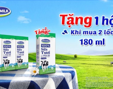 Tặng ngay 1 hộp khi mua 2 lốc sữa tươi Vinamilk 100% 180ml