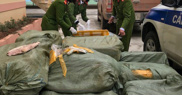 Bắt xe tải chở 1,3 tấn nội tạng lợn bốc mùi hôi thối nhập lậu từ Trung Quốc