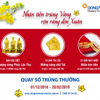 Kiều hối Đông Á tri ân khách hàng nhân dịp Tết Kỷ Hợi