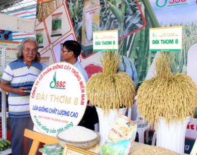 Khai mạc Festival Lúa gạo Việt Nam lần thứ III tại Long An