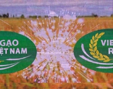 Công bố Logo Thương hiệu gạo Việt Nam