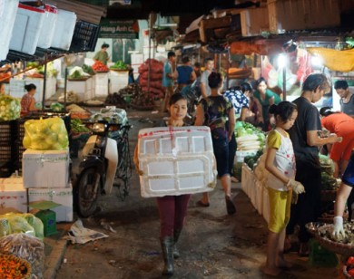 Hộ cá thể và kinh doanh thương mại điện tử - Bài 2: Thuế khoán bèo bọt - Kẽ hở ngay từ chính sách