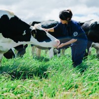 Vinamilk có hệ thống trang trại đạt chuẩn Global lớn nhất châu Á