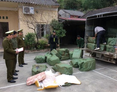 Phát hiện xe tải chở 2,3 tấn nầm lợn bốc mùi hôi thối đang trên đường đi tiêu thụ