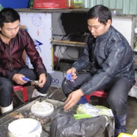 Bắt quả tang cơ sở bơm tạp chất vào tôm chết để bán kiếm lời