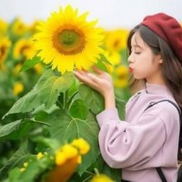 Xem tử vi 12 cung hoàng đạo ngày 18/1: Kim Ngưu có tin vui