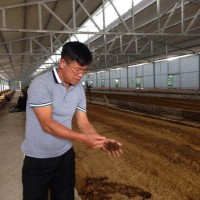 Kiếm tiền tỷ từ nuôi giun quế