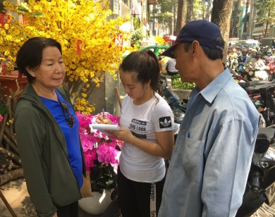 Hoa mai, hoa đào giả vào mùa hút khách