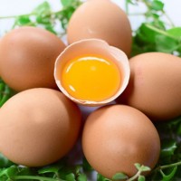 Bạn đang hiểu sai về trứng gà mà không biết?