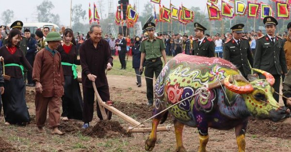 Phó Thủ tướng Trương Hòa Bình xuống đồng cày ruộng ở Lễ hội Tịch Điền 2019