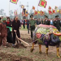 Phó Thủ tướng Trương Hòa Bình xuống đồng cày ruộng ở Lễ hội Tịch Điền 2019