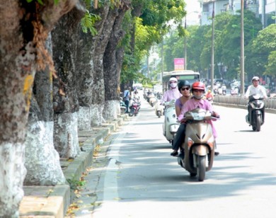 Dự báo thời tiết ngày 1/3: Miền Bắc ngày nắng, có nơi 32 độ