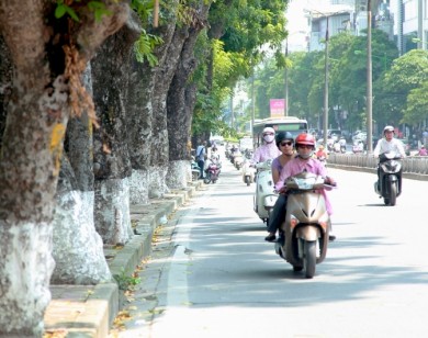 Dự báo thời tiết ngày 5/3: Miền Bắc nắng nóng, có nơi trên 34 độ