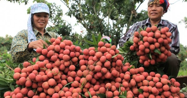 Gỡ rào cản để thúc đẩy tiêu thụ nông sản