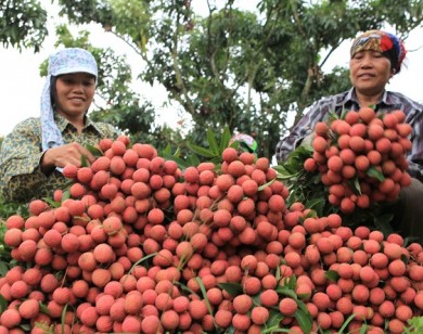 Gỡ rào cản để thúc đẩy tiêu thụ nông sản