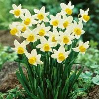 Xem tử vi 12 cung hoàng đạo ngày 7/3: Bọ Cạp gặp may mắn