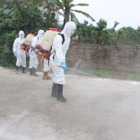 Cần hiểu đúng về dịch tả lợn châu Phi, không nên lo sợ tẩy chay thịt lợn
