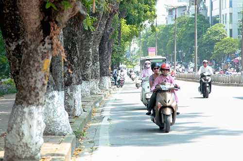 Dự báo thời tiết ngày 13/3: Miền Bắc ngày nắng, có nơi 32 độ