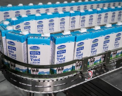 Vinamilk chào mua gần 47% cổ phần công ty quản lý Sữa Mộc Châu