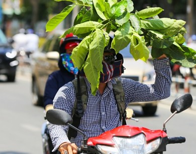 Tia UV liên tiếp cao ở mức báo động ở TP Hồ Chí minh