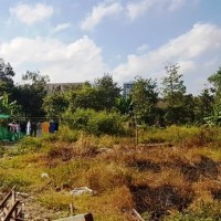 Hai doanh nghiệp lừa bán đất thuộc quy hoạch Đại học Quốc gia