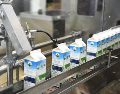 Mộc Châu Milk: Động lực tăng trưởng từ chuỗi sản xuất khép kín
