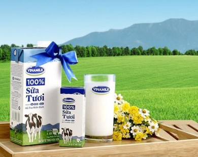 Vinamilk cung cấp khoảng 5,5 triệu hộp sữa tươi mỗi ngày