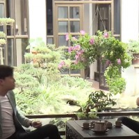 'Về nhà đi con' tập 15: Vũ tính chuyện lừa lại Thư